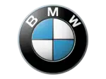 Oil For a bmw 