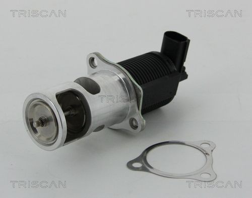 EGR valve TRISCAN