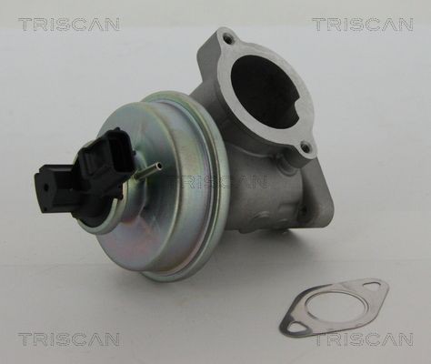 EGR valve TRISCAN