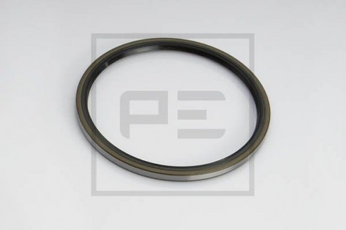 Oil seal, wheel hub PE Automotive