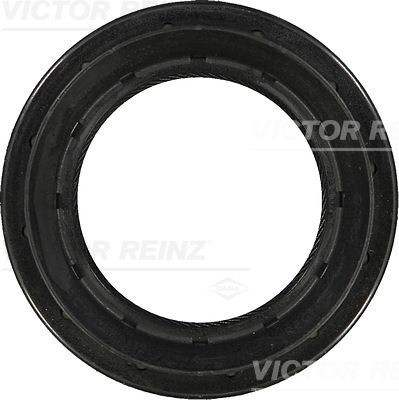 Seal, differential VICTOR REINZ