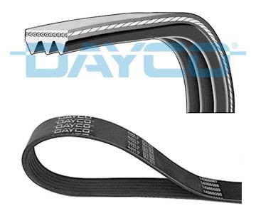 Poly V belt DAYCO