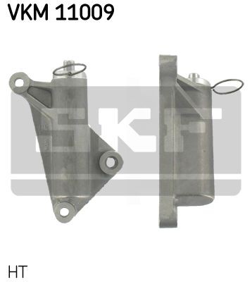 VKM 11009
