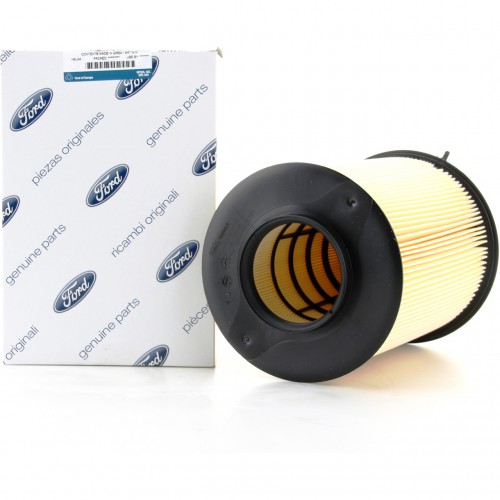Air filter FORD