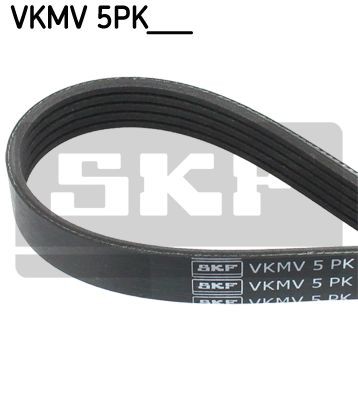VKMV 5PK1218 SKF