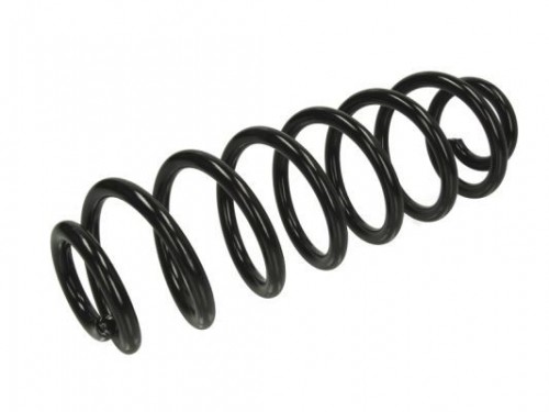 Coil spring Magnum Technology